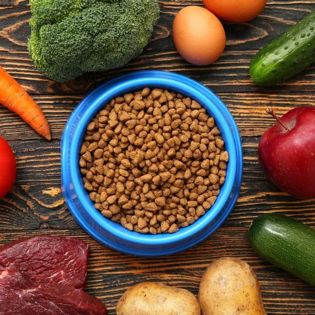 Как отличить хороший корм для животных от плохого за 5 минут