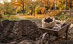 Подготовка грядки под озимый чеснок: 3 правила удобрения, которые гарантируют крупный урожай