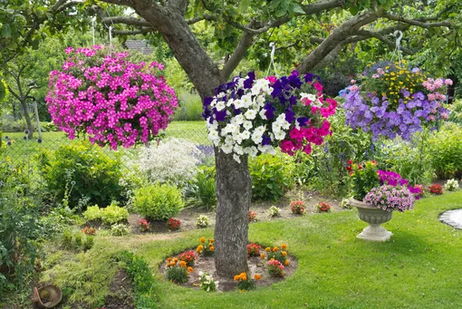 3 простых способа заставить цветы в подвесных кашпо пышно цвести всё лето