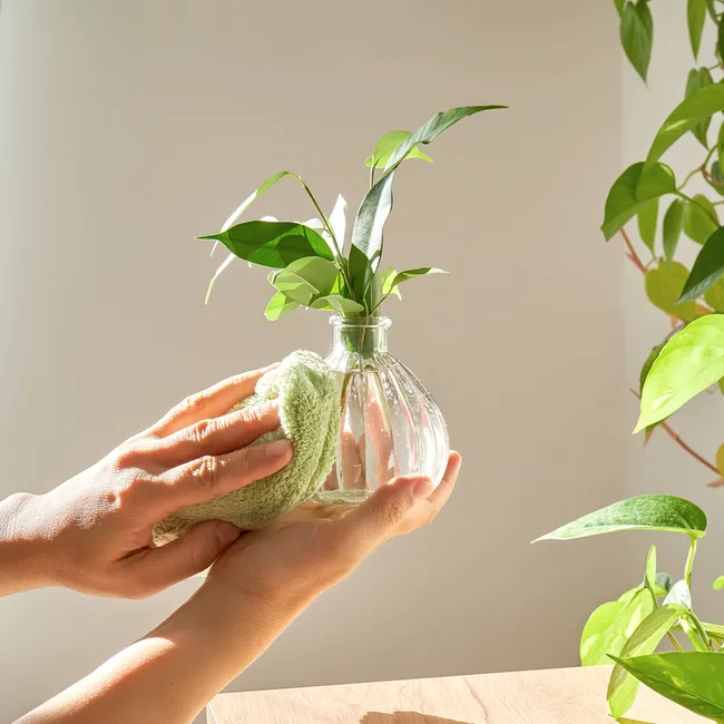 Как освежить квартиру к весне 2026? 5 простых шагов от организатора пространства