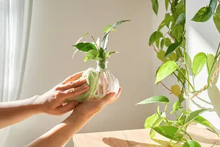 Как освежить квартиру к весне 2026? 5 простых шагов от организатора пространства Как освежить квартиру к весне 2026? 5 простых шагов от организатора пространства