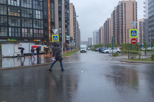 Как спасти урожай в непогоду: фото, советы