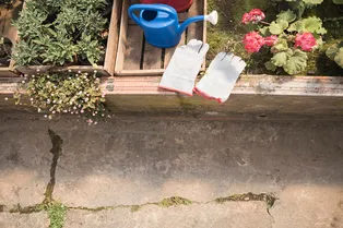 Как ухаживать за садом, когда сыро и мокро? Советы дачникам