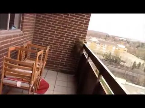 Нажми и смотри