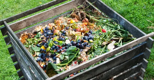 Как использовать кожуру фруктов в качестве удобрения Как использовать кожуру фруктов в качестве удобрения