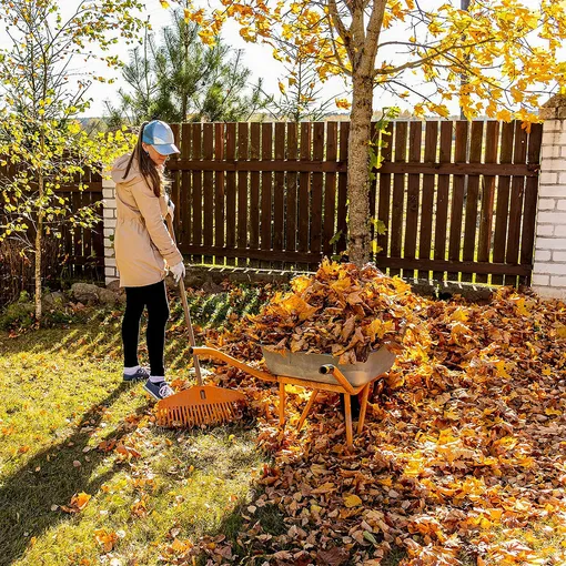 Составьте план на 2026 год