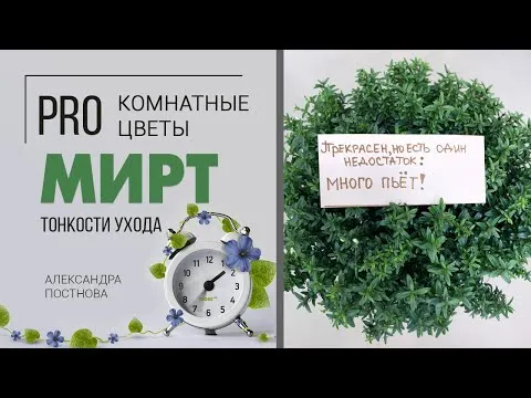 Нажми и смотри