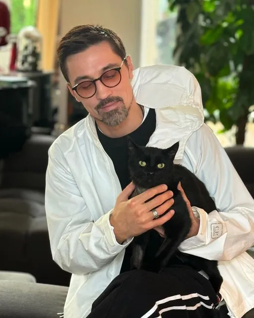 кот димы билана