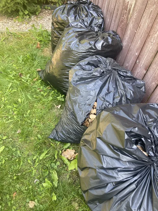 уборка листьев уборка листьев