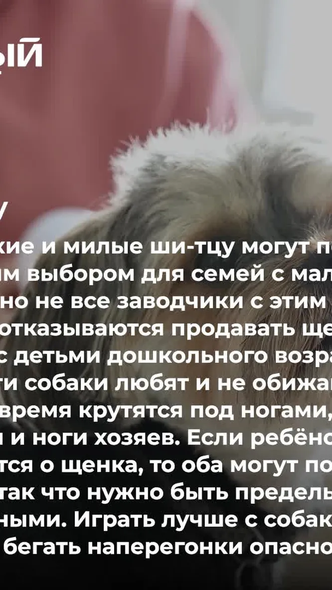 Нажми и смотри