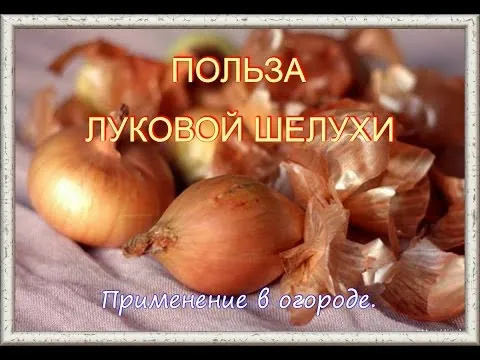 Нажми и смотри