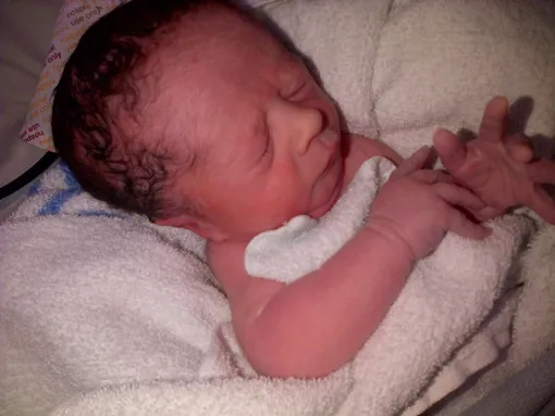 Сын Джеммы — Рубен Сын Джеммы — Рубен