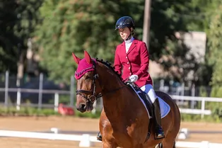 Конный спорт: сколько стоит и как он меняет жизнь к лучшему