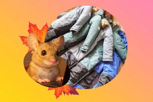 Как и для чего я купила ребенку сразу 5 зимних комбинезонов летом — колонка мыши Сюзи Как и для чего я купила ребенку сразу 5 зимних комбинезонов летом — колонка мыши Сюзи