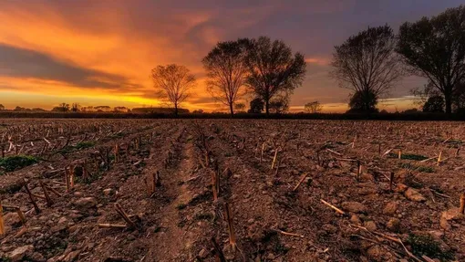 Яичная скорлупа