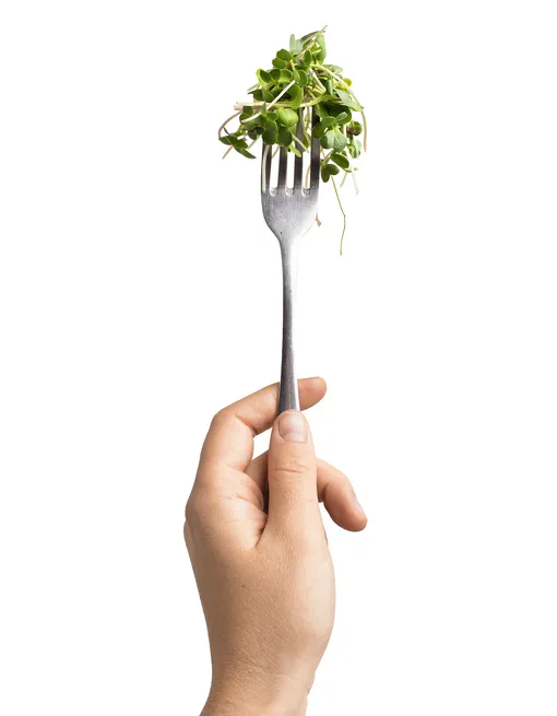 Готовка как хобби