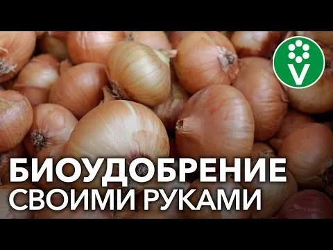 Нажми и смотри