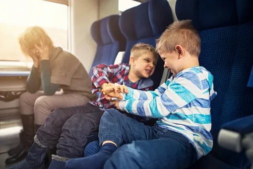 Почему не нужно разнимать дерущихся детей — мнение эксперта Почему не нужно разнимать дерущихся детей — мнение эксперта