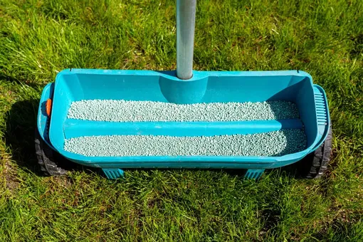 Какие удобрения следует выбрать и какие дозы использовать Какие удобрения следует выбрать и какие дозы использовать