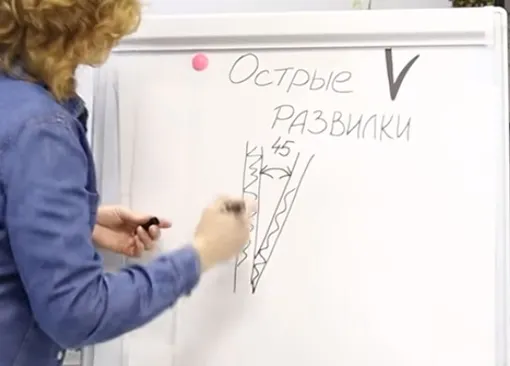 Как выглядит острая развилка
