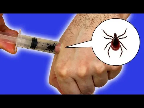 Нажми и смотри Нажми и смотри