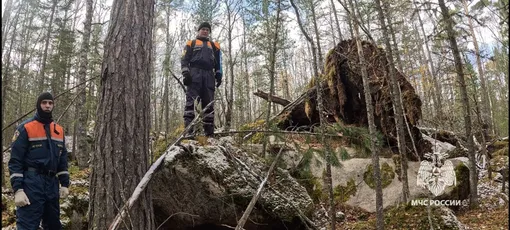 Поиски семьи Усольцевых в тайге Поиски семьи Усольцевых в тайге