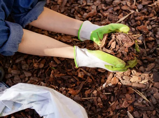 мульчирование