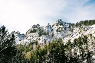 Отряд спасателей снова выдвинулся в тайгу на поиски семьи Усольцевых