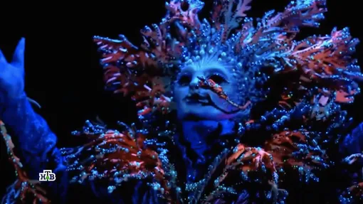 Коралл Коралл