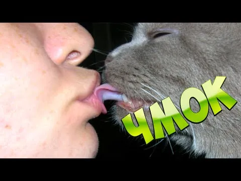 Нажми и смотри