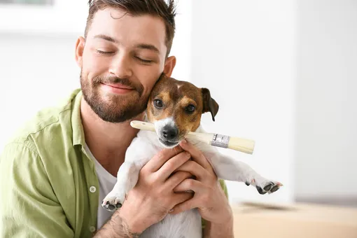 Собаки-художники: как питомцы создают абстрактные картины Собаки-художники: как питомцы создают абстрактные картины