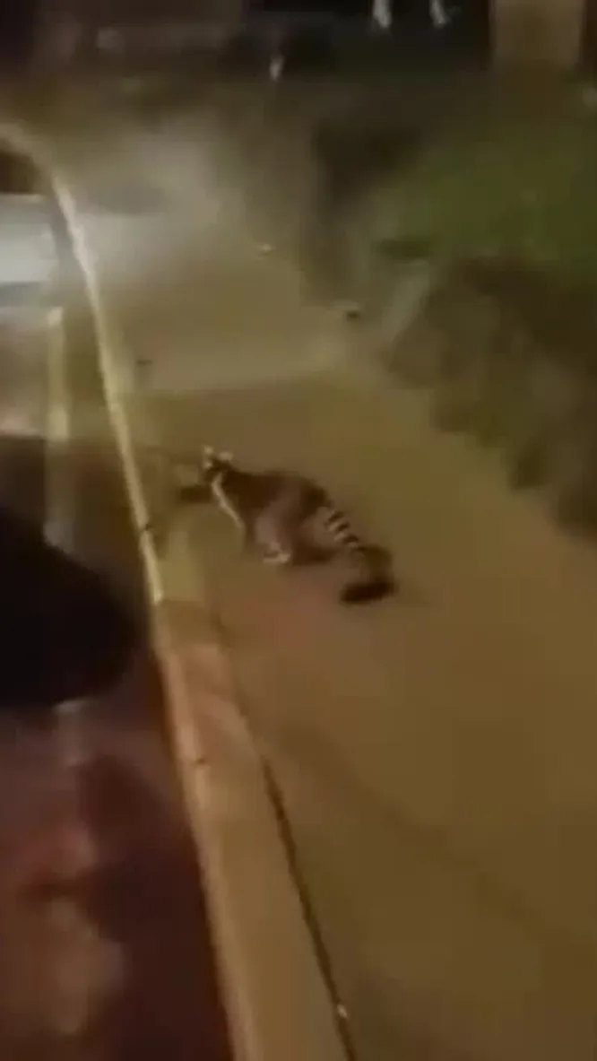 Нажми и смотри