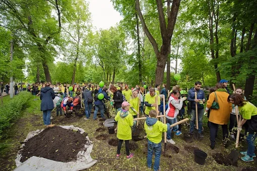 Экофестиваль в парке Сокольники