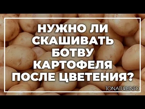 Нажми и смотри