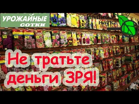 Нажми и смотри