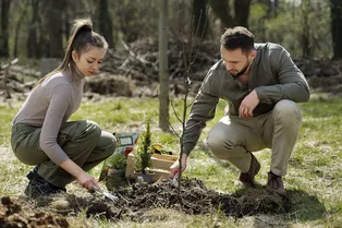 Что делать, если саженец не просыпается после зимы: 7 советов помогут ему распуститься