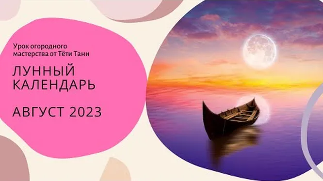 Нажми и смотри