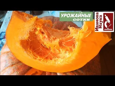 Нажми и смотри