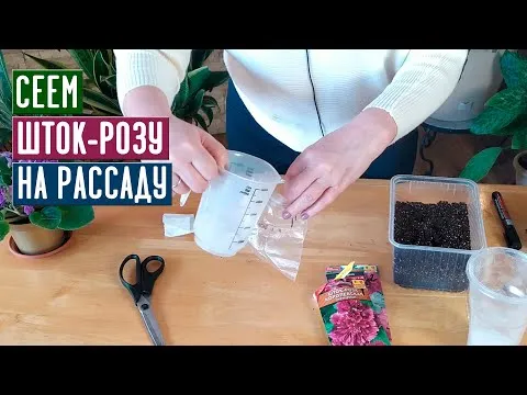 Нажми и смотри