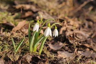 Лунный календарь дачных работ на март 2026. Что нужно сделать уже сейчас? Лунный календарь дачных работ на март 2026. Что нужно сделать уже сейчас?