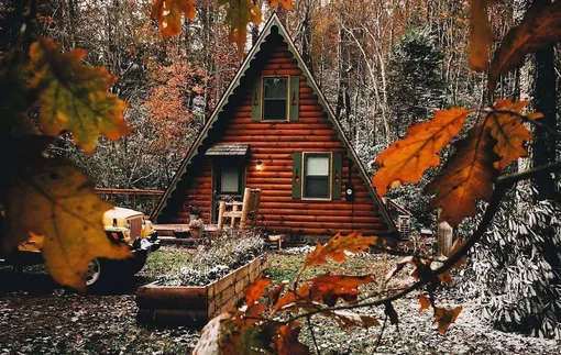 Ноябрь на даче: 6 тихих дел, которые спасут ваш сад до весны