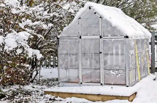Уход за теплицей зимой Уход за теплицей зимой