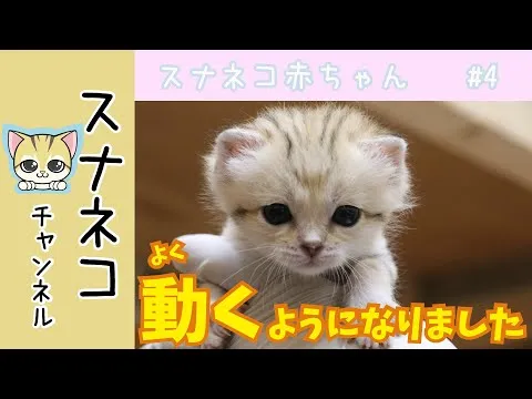 Нажми и смотри