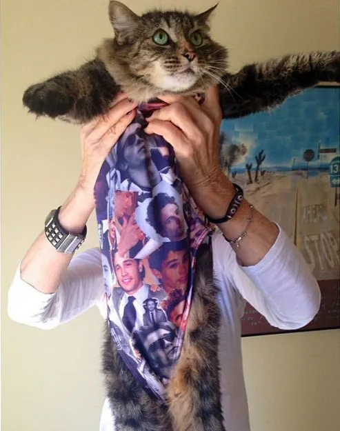 Соцсети Джеймса Франко