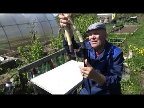 Нажми и смотри Нажми и смотри