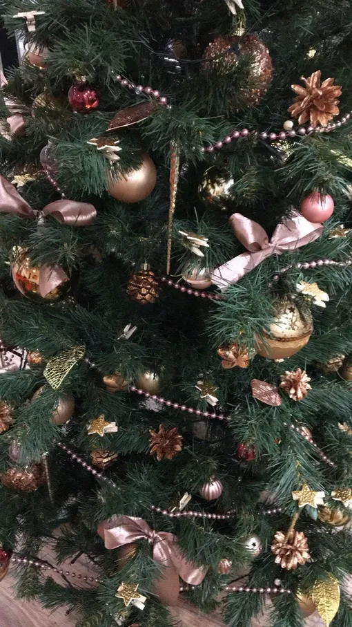 шишки на елке