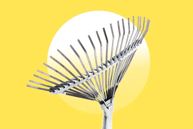 Жмых от кофе, веерные грабли — что ещё пригодится на даче начинающим?