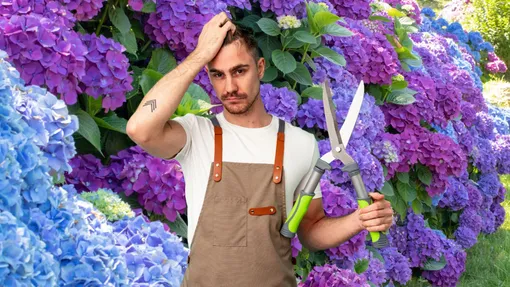 Эти кустарники нельзяобрезать весной