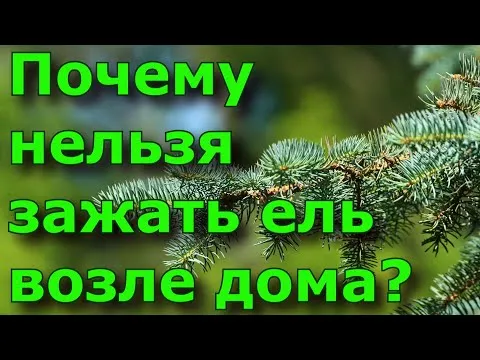 Нажми и смотри