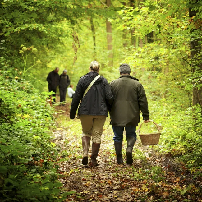 Отличите сморчок от строчка? И как готовить весенние грибы, чтобы не отравиться
